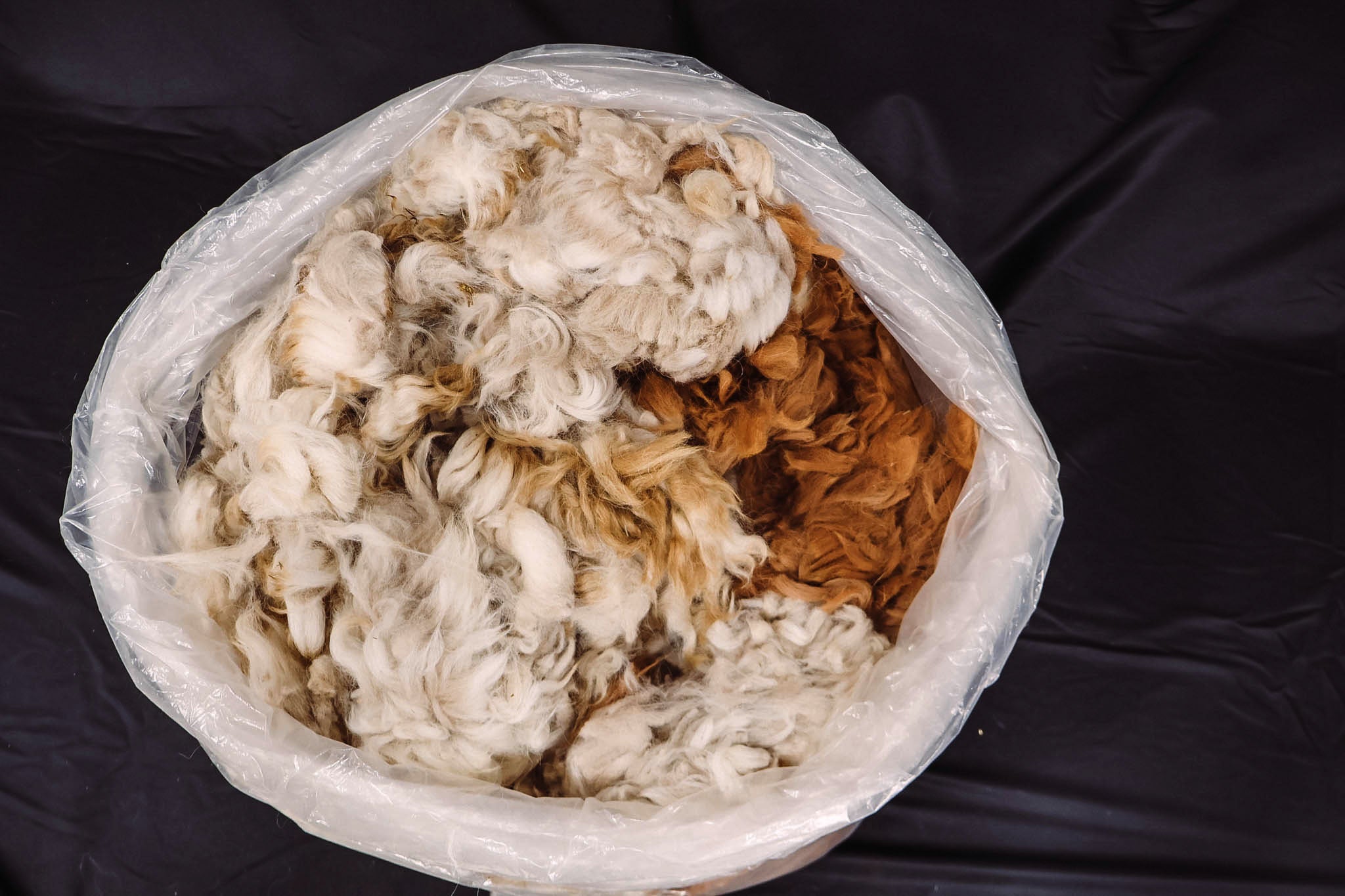 Washed Raw Wool - Heritage Woolworks