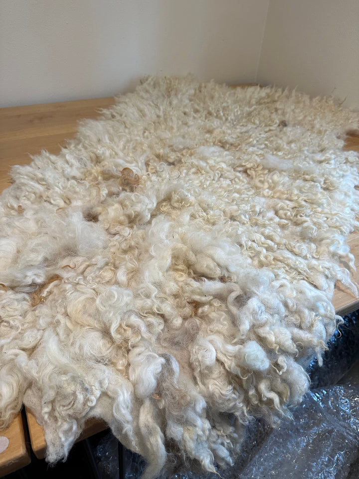 Luxurious Felted Fleece Rug: Archer