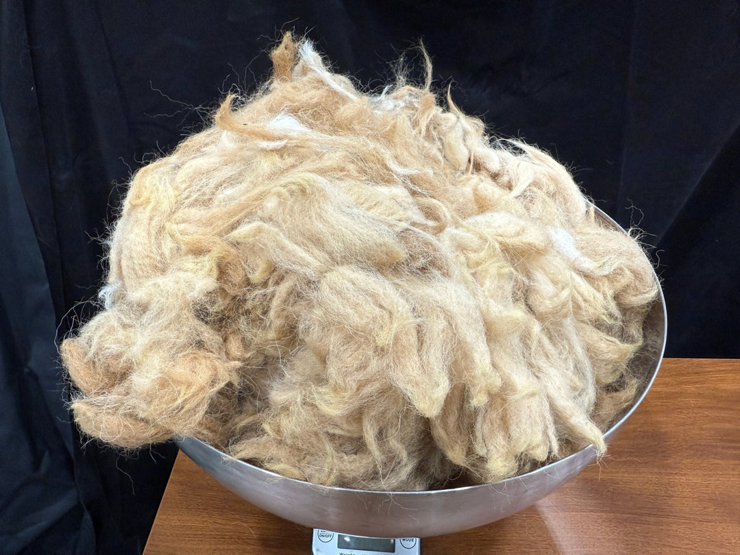 Alpaca Blend | Earthstone - Heritage Woolworks