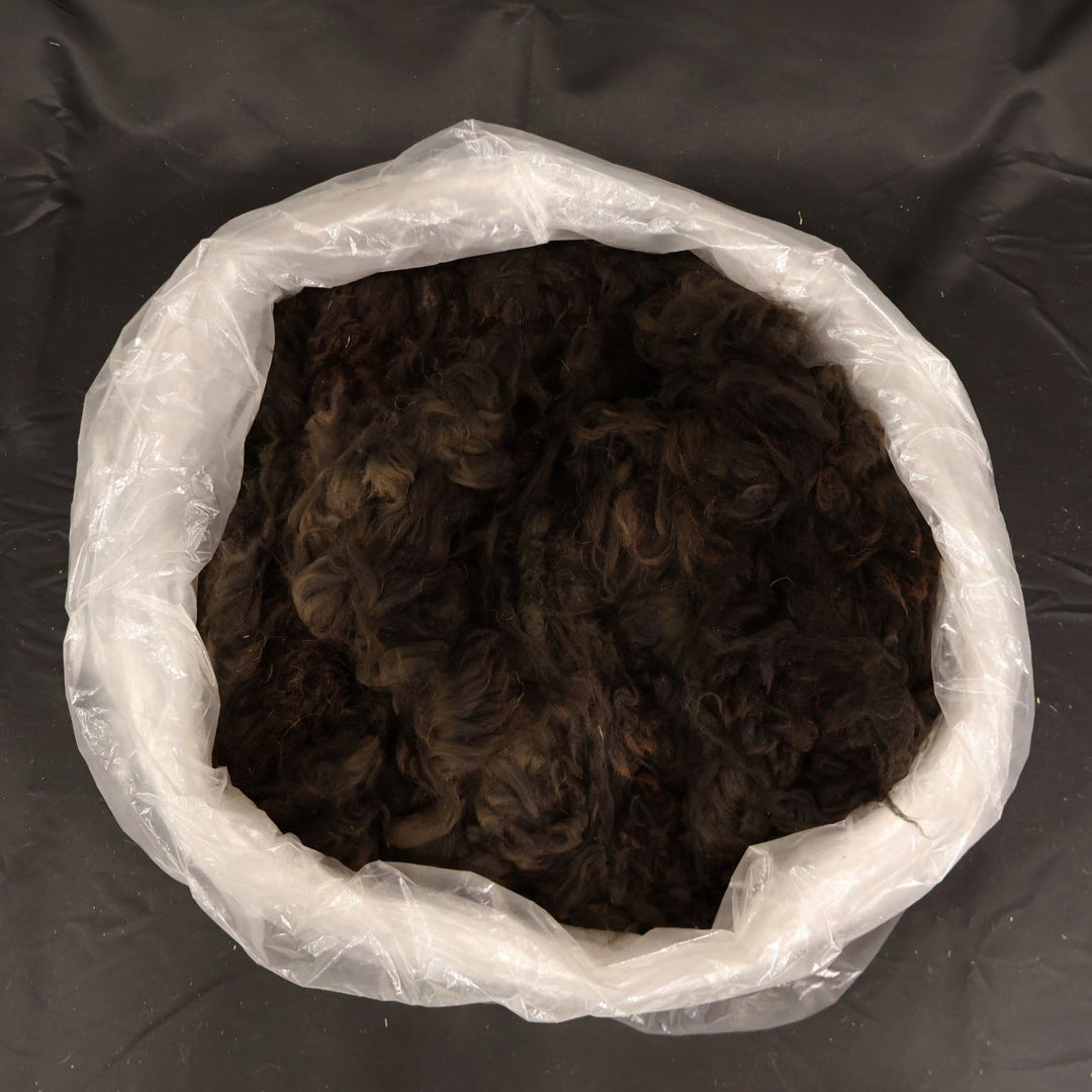 Raw Alpaca Fiber | Dark Colors - Heritage Woolworks