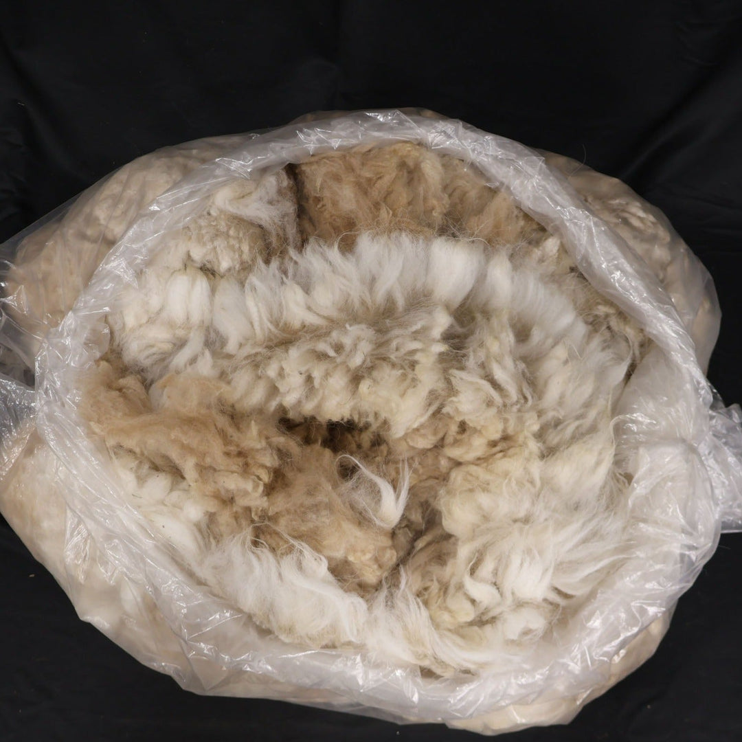 Raw Alpaca Fiber | Light Colors - Heritage Woolworks