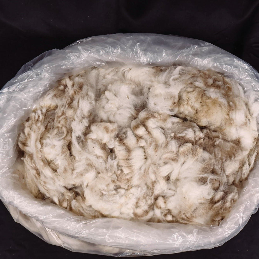 Raw Alpaca Fiber | Light Colors - Heritage Woolworks