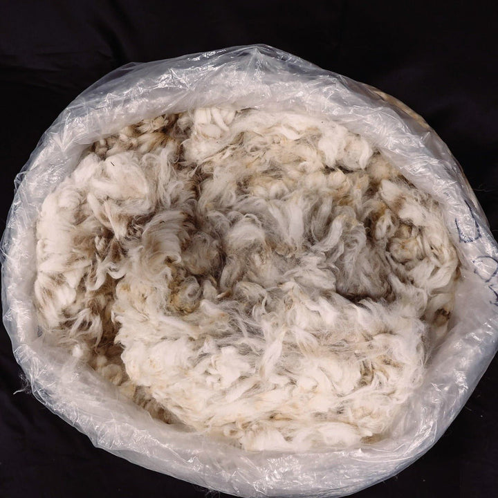 Raw Alpaca Fiber | Light Colors - Heritage Woolworks