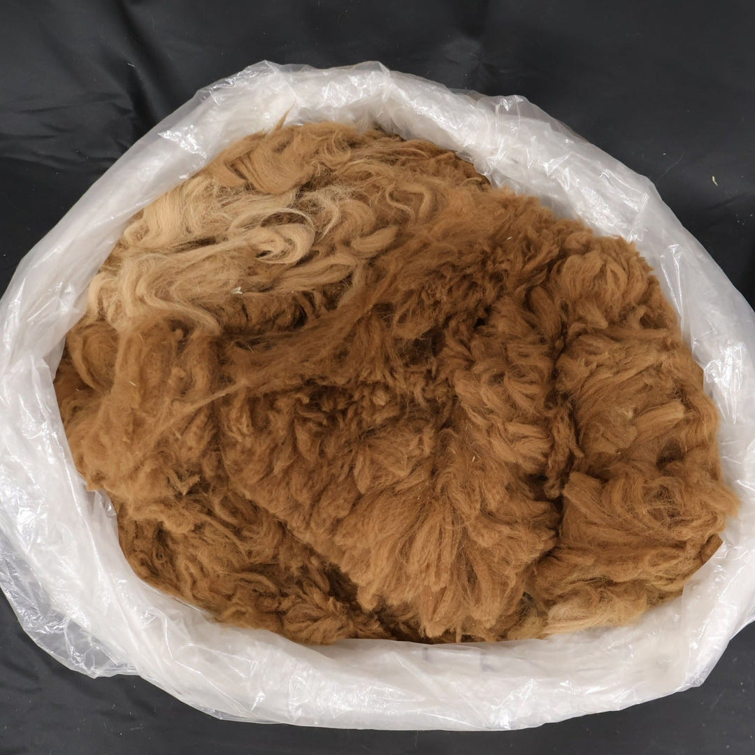 Raw Alpaca Fiber | Medium Colors - Heritage Woolworks