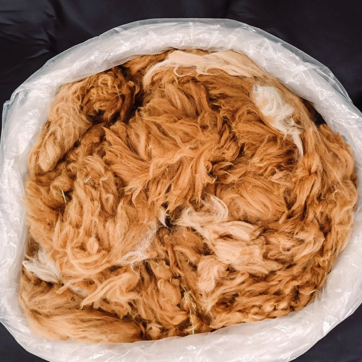 Raw Alpaca Fiber | Medium Colors - Heritage Woolworks