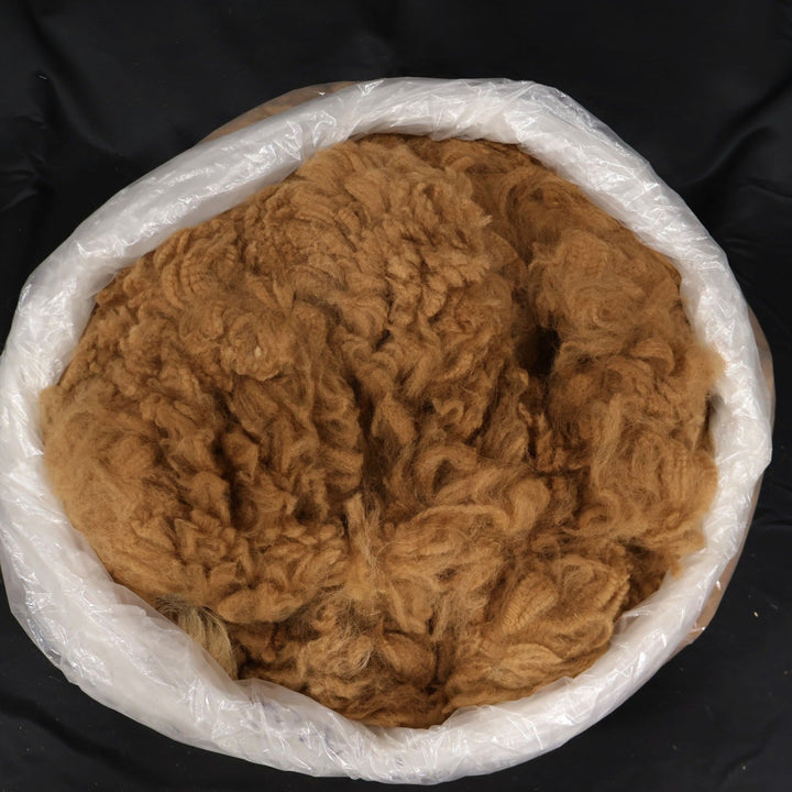 Raw Alpaca Fiber | Medium Colors - Heritage Woolworks