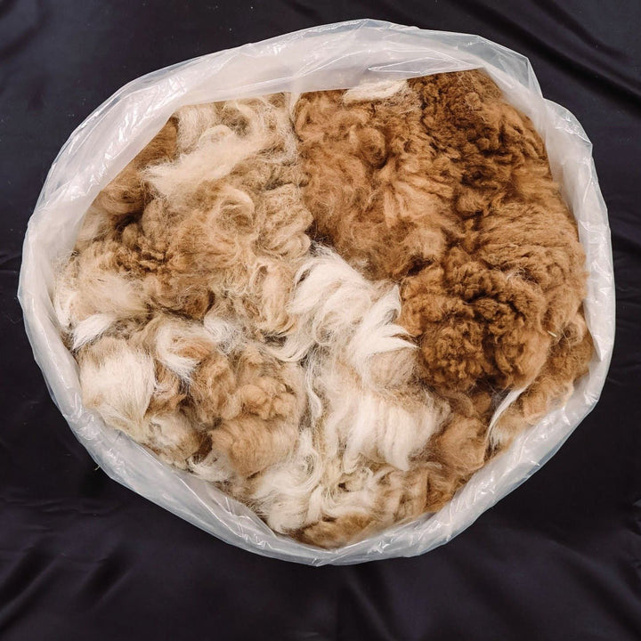 Raw Alpaca Fiber | Medium Colors - Heritage Woolworks