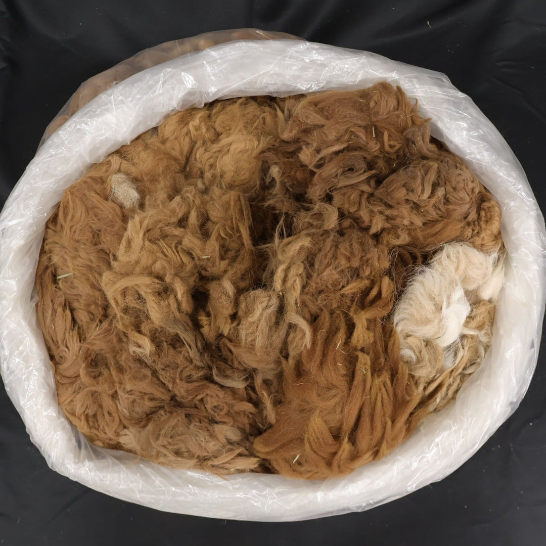 Raw Alpaca Fiber | Second or Third Cuts - Heritage Woolworks