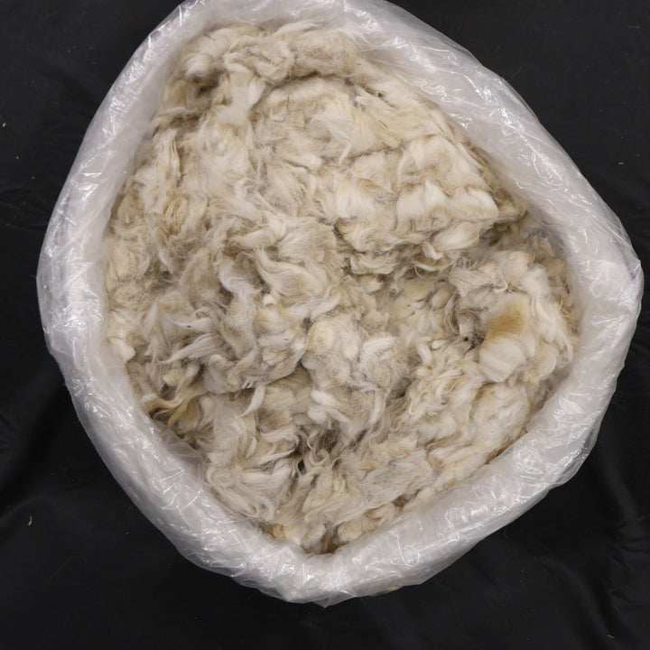 Raw Alpaca Fiber | Second or Third Cuts - Heritage Woolworks