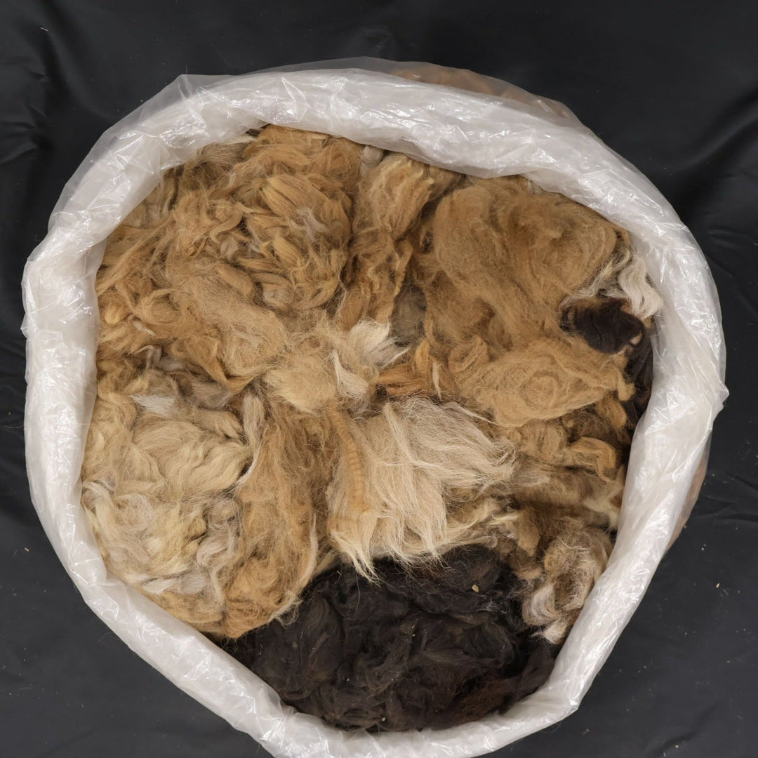 Raw Alpaca Fiber | Various Color Mixes - Heritage Woolworks