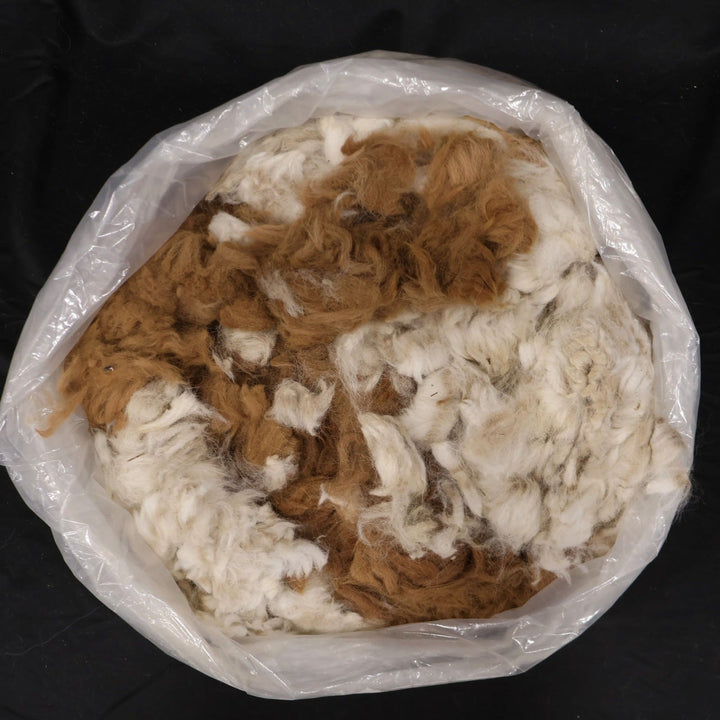 Raw Alpaca Fiber | Various Color Mixes - Heritage Woolworks