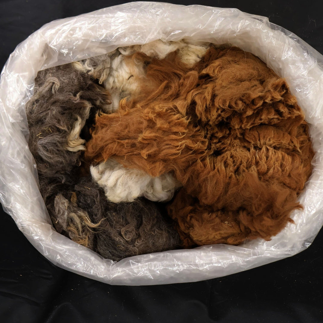 Raw Alpaca Fiber | Various Color Mixes - Heritage Woolworks