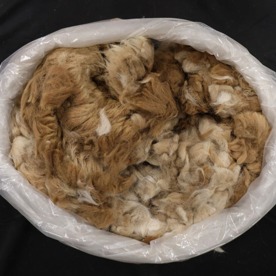 Raw Alpaca Fiber | Various Color Mixes - Heritage Woolworks