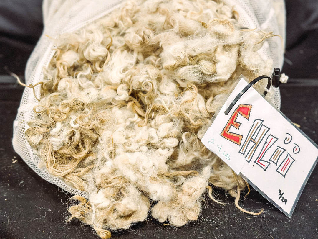 Romney x Valais | Ehlii & Enzo - Heritage Woolworks