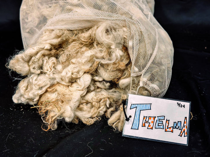 Valais | Lincoln | Hamp: Thelma & Louise - Heritage Woolworks