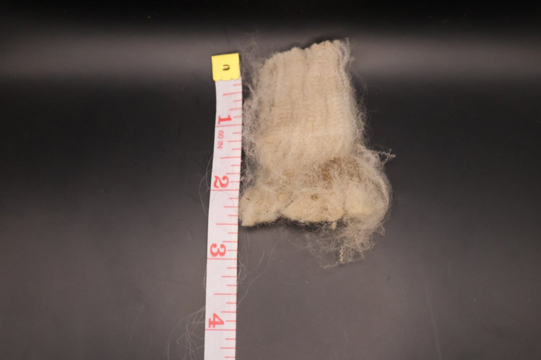 Mystery Wool! Southdown? - Heritage Woolworks