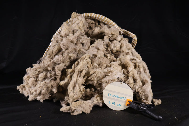 Mystery Wool! Southdown? - Heritage Woolworks