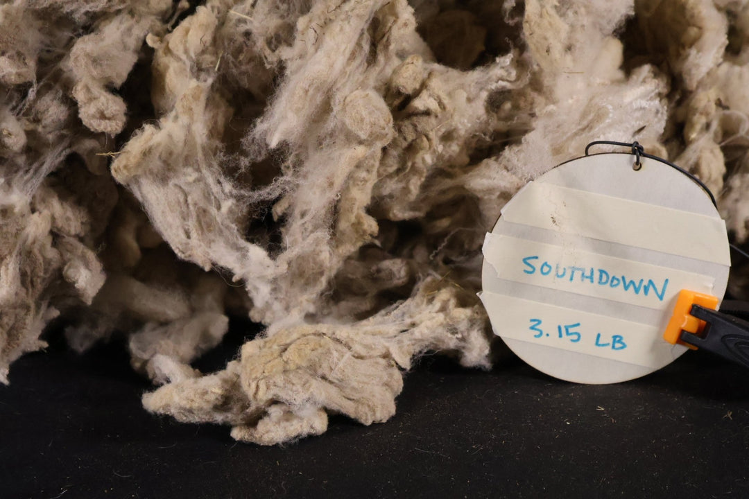 Mystery Wool! Southdown? - Heritage Woolworks