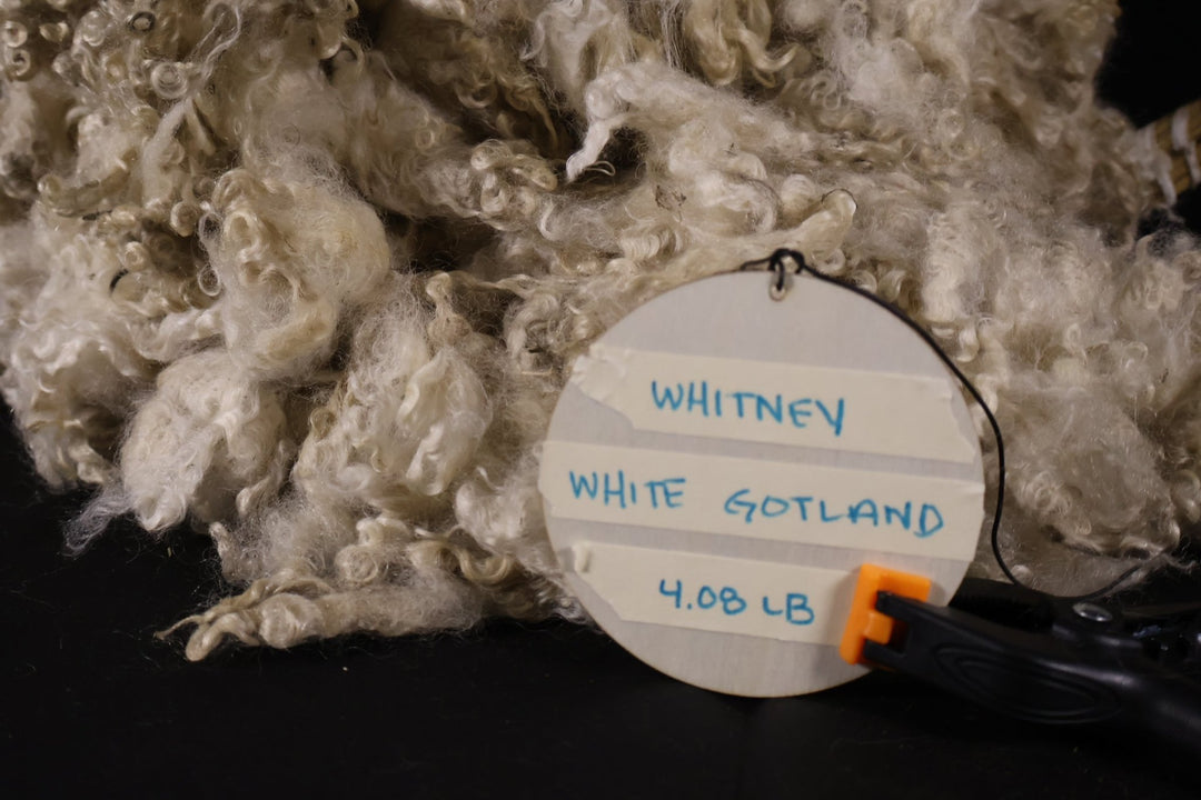 Whitney - White Gotland - Heritage Woolworks